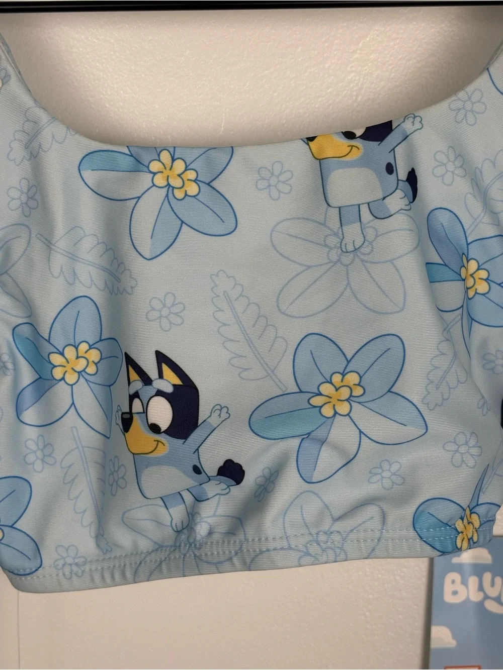 Target Disney BLUEY Light Blue Floral Daisy 2 piece Swimsuit Tankini UPF 50+
